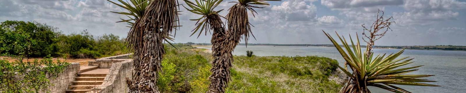 Our Services Header Image