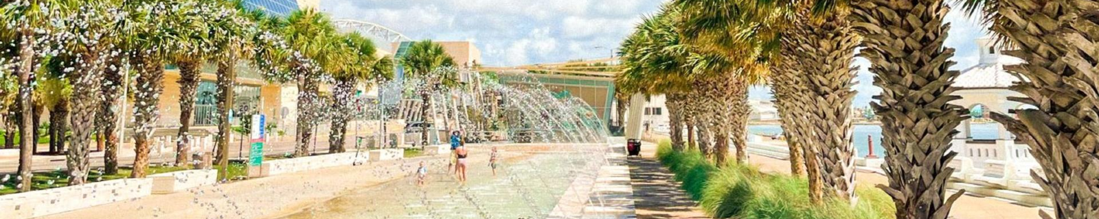 Terms And Conditions Header Image