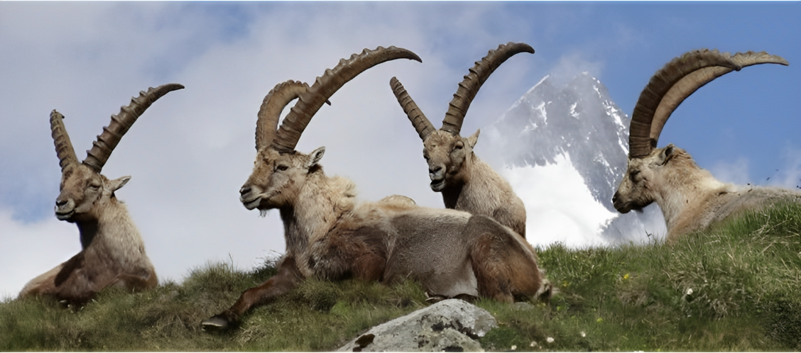 About Us Cover Image