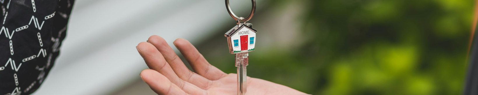 Our Services Header Image