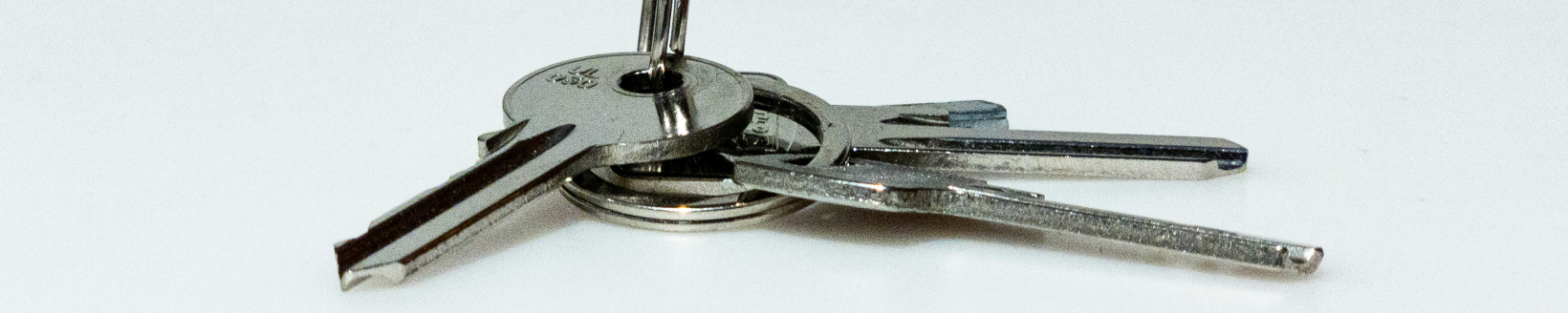 Our Services Header Image